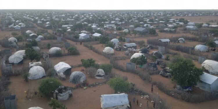 Kenya: Dadaab refugees in dire straits after WFP drastically cuts monthly food ration