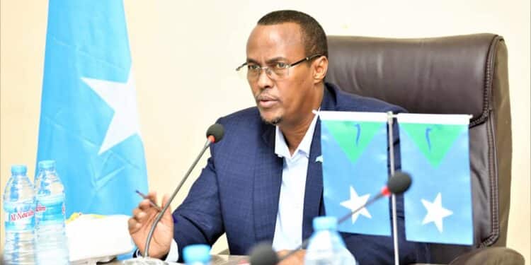 Ali Gudlawe: HirShabelle not a party that can be left at will