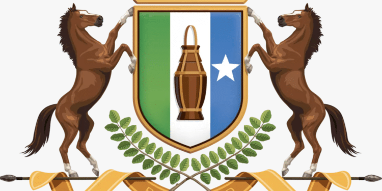 Peace negotiators or a party to the conflict? Former statesmen arrived in Garowe, Puntland