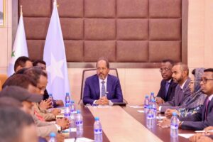 Somali President revealed multi-pillar plan to combat al-Shabaab