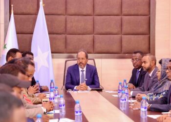 Somali President revealed multi-pillar plan to combat al-Shabaab