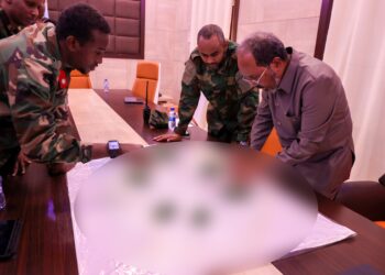 EDITORIAL: Leadership deficits and political meddling