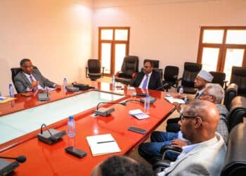 Puntlands economic landscape