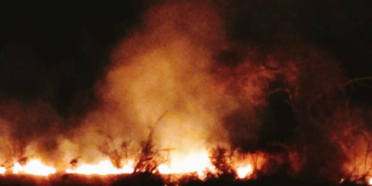 Officers foiled al-Shabaab attack