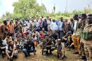 BREAKING: Gacan Libaah militia ceases military activities