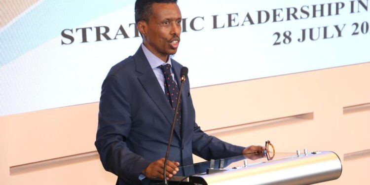 Amid Somalia delicate diplomatic landscape, actions of three officials come under scrutiny