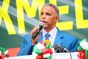 Mohamoud Hashi: The key to peace is in Las Anod, Garowe