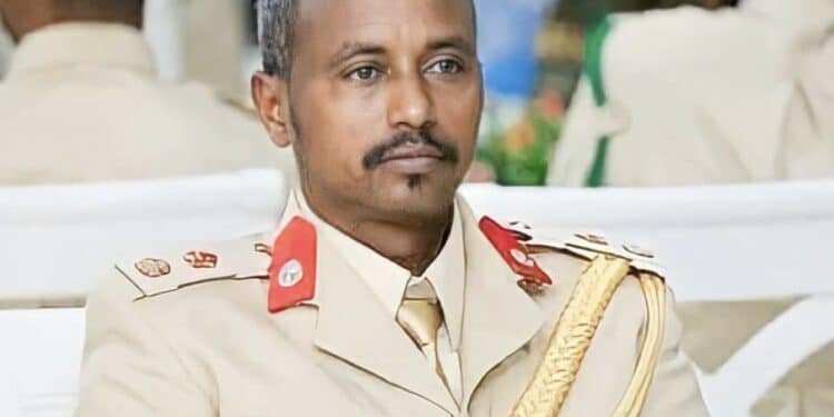 What is behind the major reshuffle in the Somali National Army?