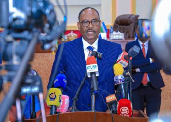 President Deni confirms unwavering commitment to democratic elections