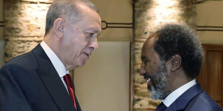 Somali and Turkish Presidents met to discuss critical issues