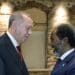 Somali and Turkish Presidents met to discuss critical issues