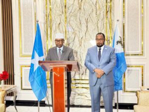Somali government makes a strategic move by recognizing SSC-Khaatumo