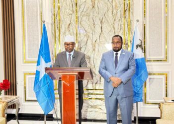 Somali government makes a strategic move by recognizing SSC-Khaatumo