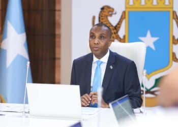 PM Hamza forms Council for Modernisation and Transformation