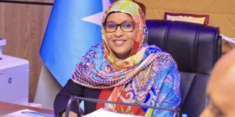 Somali Ministry of Transport issued strict guidelines for vehicle sale