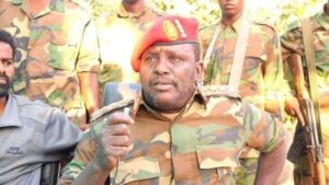 Colonel Said Awil Jama Arre hostile rhetoric raises tensions between Somaliland and SSC. The former rebel leader returned from Turkey