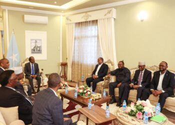 President and PM of Somalia met with SSC-Khaatumo leader