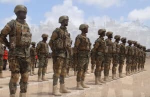 Danab Forces