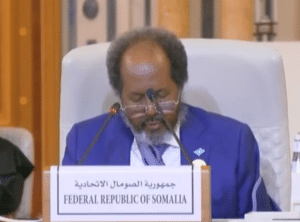 Hassan Sheikh Mohamud Somalia