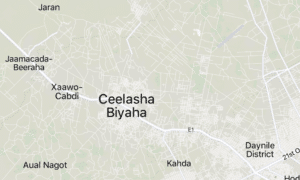 Islamic State Somalia Al-Shabaab Attack