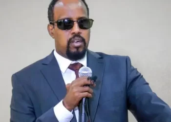 Marwa Abdi Bashir Kulane