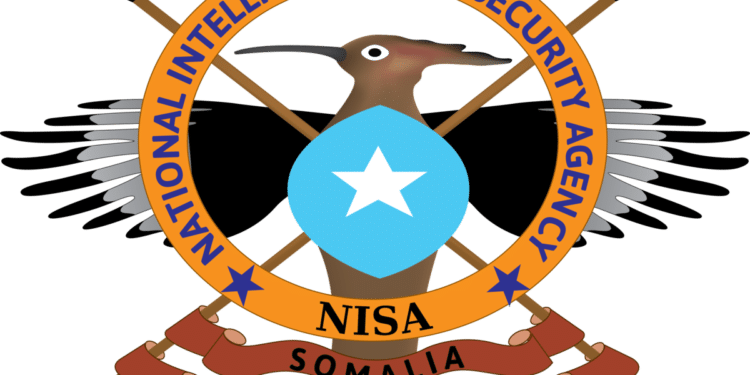 NISA Somalia