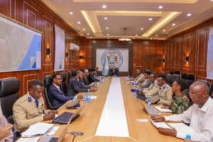 Somalia National Security Council