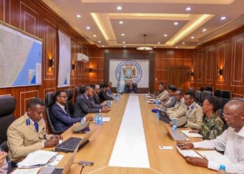Somalia National Security Council