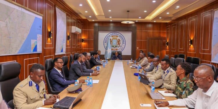 Somalia National Security Council