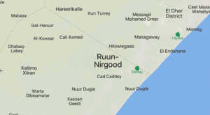 Al-Shabab Darul Nim'a and Ruun Nirgood Somalia