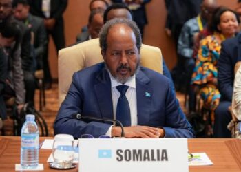 President Hassan Sheikh NAM