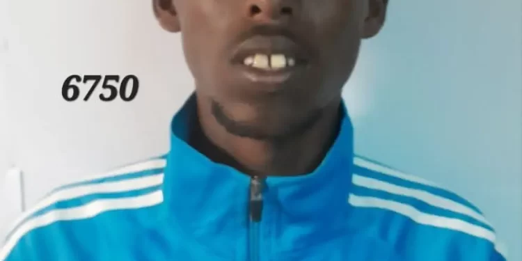 Al-Shabab infiltration