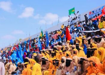 Türkiye Somalia demo