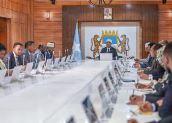 Somalia Puntland Ethiopia consulates