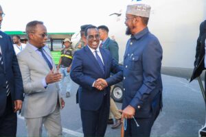 President Hassan Sheikh NCC Somalia