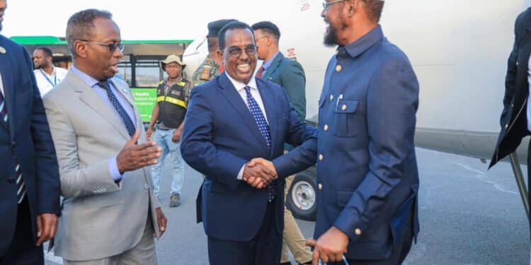President Hassan Sheikh NCC Somalia