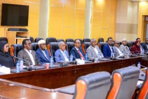 Puntland Somalia political parties unite for elections in Nugaal