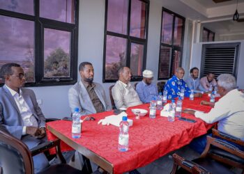 Puntland democratization Somalia