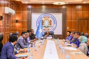 AML-CFT Al-Shabab Islamic State Somalia Tax
