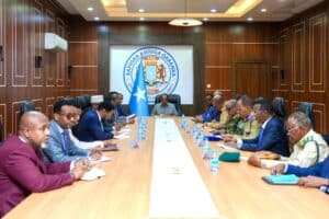 NSC Somalia arms proliferation