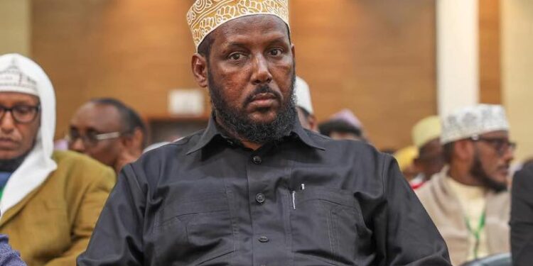 Former Al-Shabab member now minister in Somalia