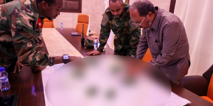 Hassan Sheikh Mohamud war Al-Shabab Somalia