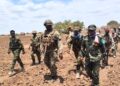 AUSSOM and Somali National Army troops walking through farmland during an operation in Lower Shabelle southern Somalia